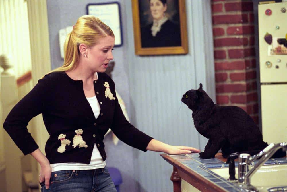 10 Things You Didn’t Know about “Sabrina the Teenage Witch” - TVovermind - Where Does Sabrina The Teenage Witch Take Place