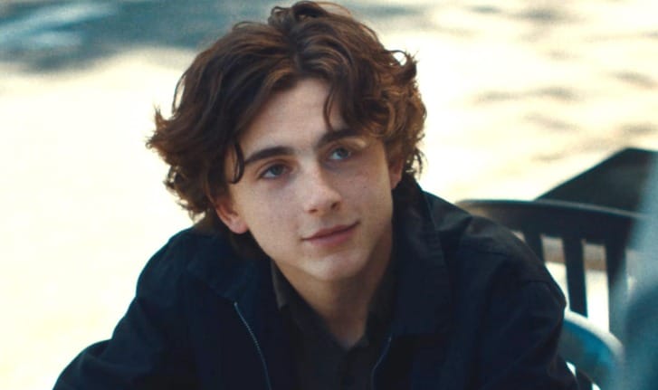 The Five Best Timothee Chalamet Movies Of His Career