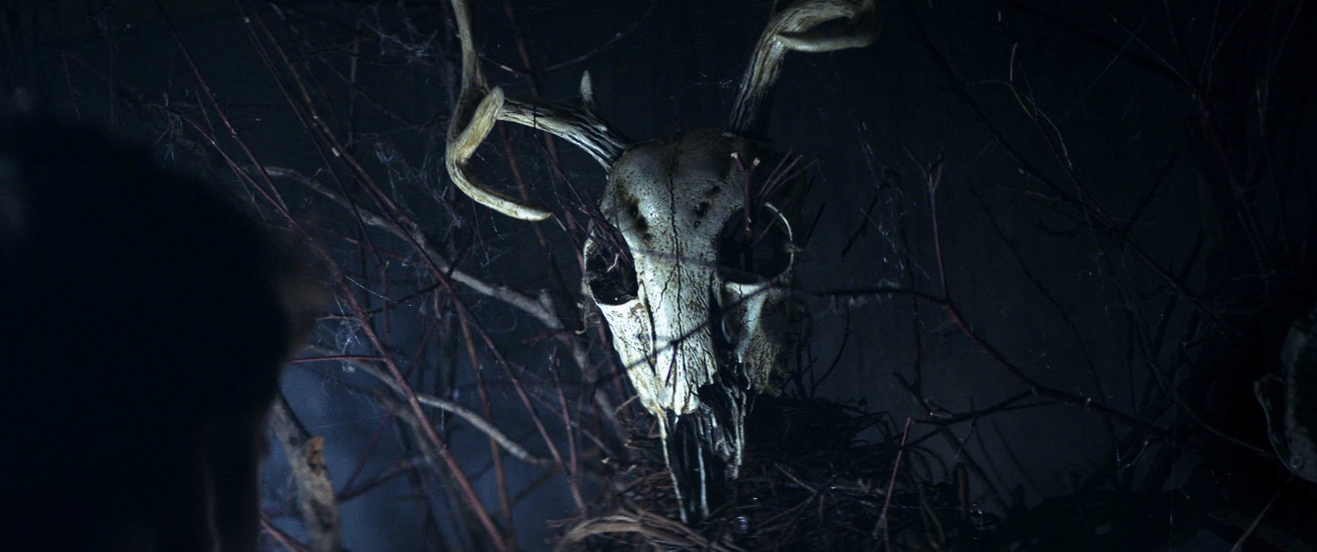 Composer Devin Burrows Discusses His Score for IFC Midnight’s Hit Film ...