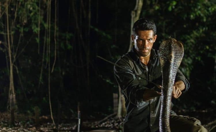 The Top Five Movies About Ninjas - TVovermind