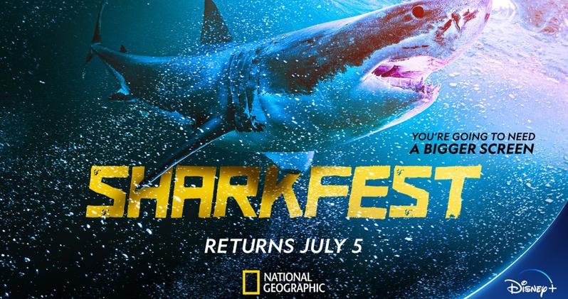National Geographic S Sharkfest Lineup Looks Quite Impressive