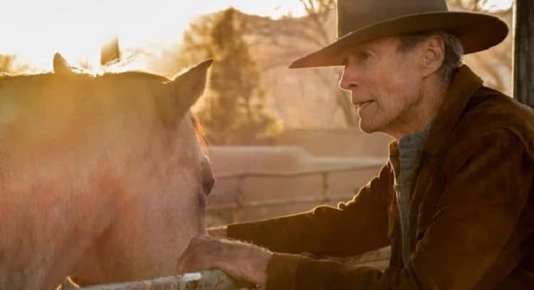 What We Learned From The Trailer For Cry Macho